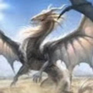 Meet your Posher, Marcus